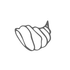 small shell scetch. vector