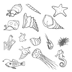 sea wild life scetch. vector