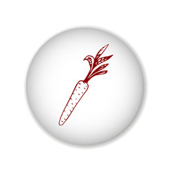 carrot scetch. vector. 