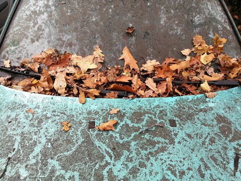 Braune Eichenbl&auml;tter auf der Windschutzscheibe eines schmutzigen Gebrauchtwagen im Herbst im Stadtteil Sennestadt in Bielefeld im Teutoburger Wald in Ostwestfalen-Lippe
