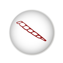 long shell scetch. vector