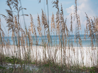 The Beach at Anna Maria Island