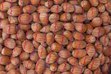 Hazelnuts on a old wooden table. Hazelnut background.