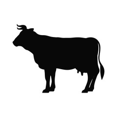 Cow icon. Livestock animal life nature and fauna theme. Vector illustration