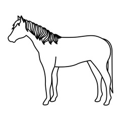 Horse icon. Livestock animal life nature and fauna theme. Vector illustration