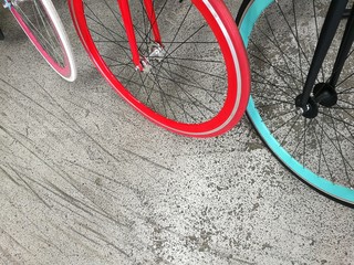 Fahrräder mit mattschwarzen Speichen und bunten Reifen in Pink, Rot und Türkis auf grauem Betonboden in einem Fahrradgeschäft in Bielefeld im Teutoburger Wald in Ostwestfalen-Lippe