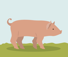 Pork icon. Livestock animal life nature and fauna theme. Vector illustration