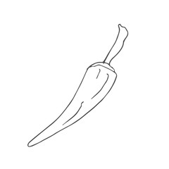 Obraz premium chili scetch. vector