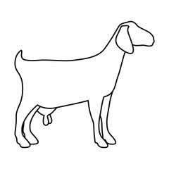 Goat icon. Livestock animal life nature and fauna theme. Vector illustration