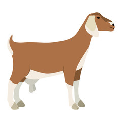 Goat icon. Livestock animal life nature and fauna theme. Vector illustration