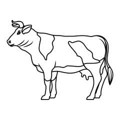 Fototapeta premium Cow icon. Livestock animal life nature and fauna theme. Vector illustration
