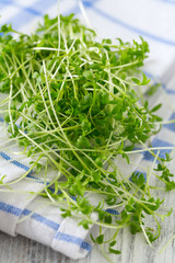 garden cress ready to be eaten