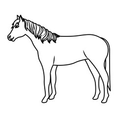 Horse icon. Livestock animal life nature and fauna theme. Vector illustration