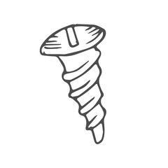screw scetch. vector
