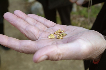 Gold Nuggets, Coloma
