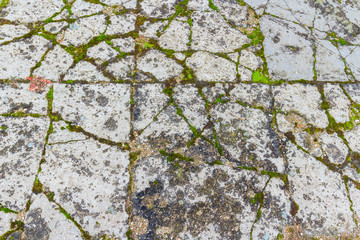 Cracked tiles in Park Square