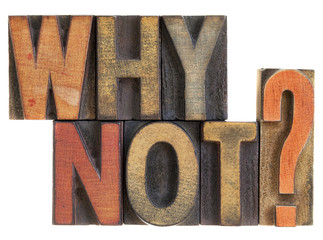 Why not? Question in wood type.