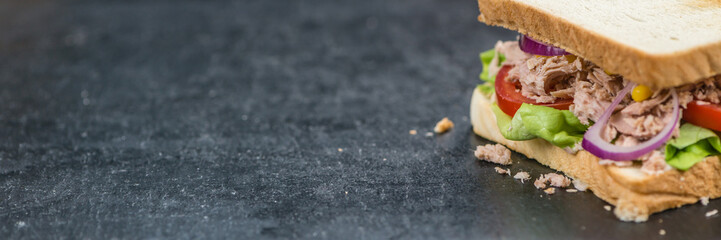 Tuna Sandwich (selective focus)
