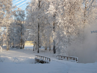 Frost and snow