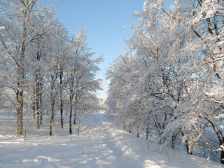 Fluffy snow