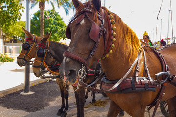 Obraz premium ANDUJAR,SPAIN - September, 6: .Women with its typical Andalusian