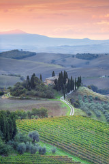 Naklejka premium early morning in Tuscany vally