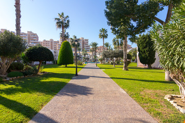 Fototapeta premium Walking and biking trail in a park