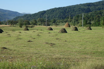 Outskirts of the village. Old traditional hay stacks, typical rural scene. Transcarpathia