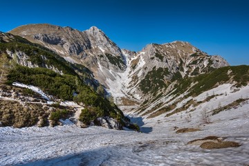 Fototapeta na wymiar Julian Alps In Triglav National park