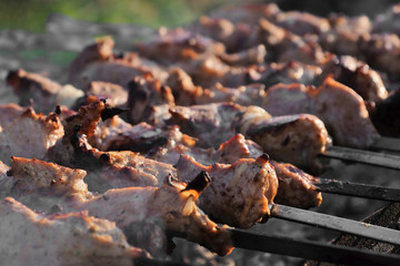 Meat pieces on skewer roasting in brazier