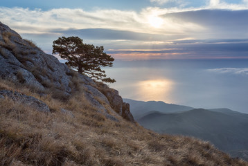 На склонах Демерджи