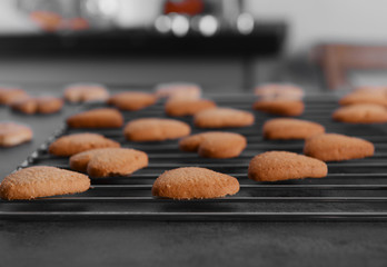 Freshly baked cookies on tray rack