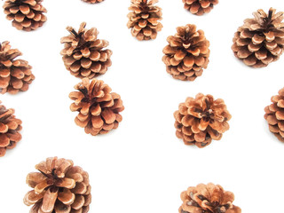 Cones with fir. Isolated on white background. Winter composition. Lined word winter.