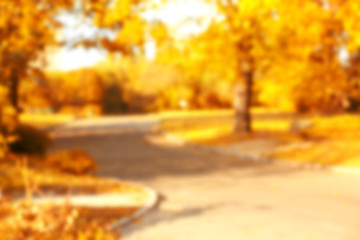 Blurred autumn park background
