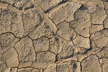 Dry land, cracked ground, without water.