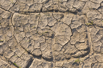 Dry land, cracked ground, without water.
