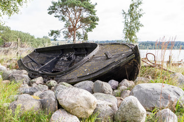 Gammal eka av tr&auml; ligger p&aring; strandkant till en insj&ouml;