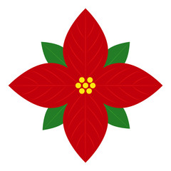 Traditional Christmas flover poinsettia on  white background. Vector illustration.