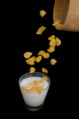 Cereal or corn flakes in a Glass of milk on a black background .