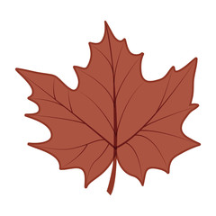 Leaf icon. Autumn season floral garden and nature theme. Vector illustration