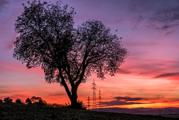 Überlandleitung bei Sonnenuntergang