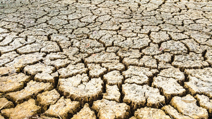 cracked earth.Dry ground.Ground dry without water