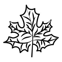 Leaf icon. Autumn season floral garden and nature theme. Vector illustration