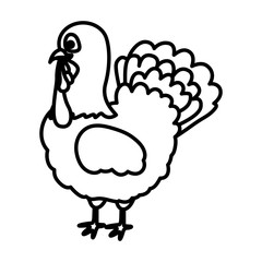 turkey icon. Thanksgiving and autumn season theme. Silhouette design. Vector illustration