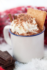 Homemade christmas hot chocolate with whipped cream, cacao and cinnamon on a plate on christmas holiday background
