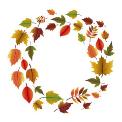 Obraz premium Leaves icon. Autumn season floral garden and nature theme. Vector illustration