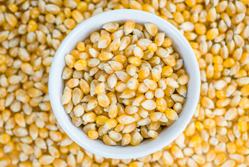 Corn (background image)