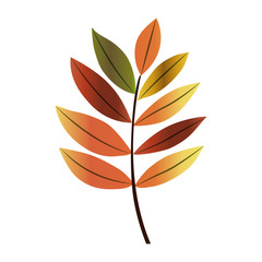 Leaf icon. Autumn season floral garden and nature theme. Vector illustration