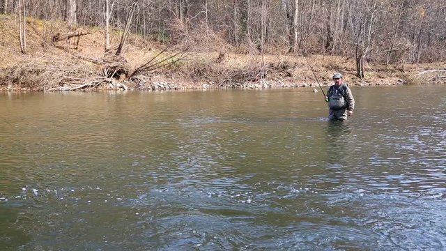 Fisherman pulls caught grayling from the river.