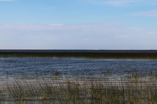 Lagoon View of bacupari, Rio Grande do Sul.